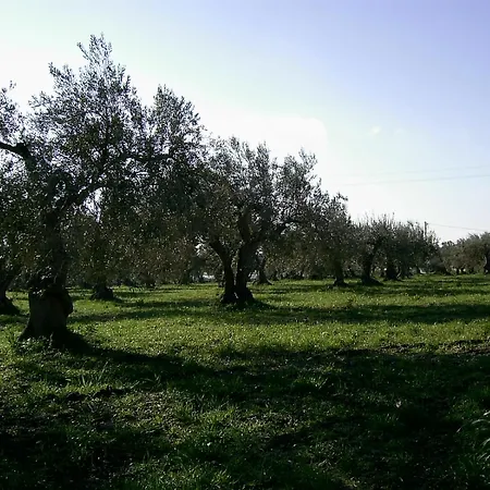 Agriturismo Baglio Calanchi-3